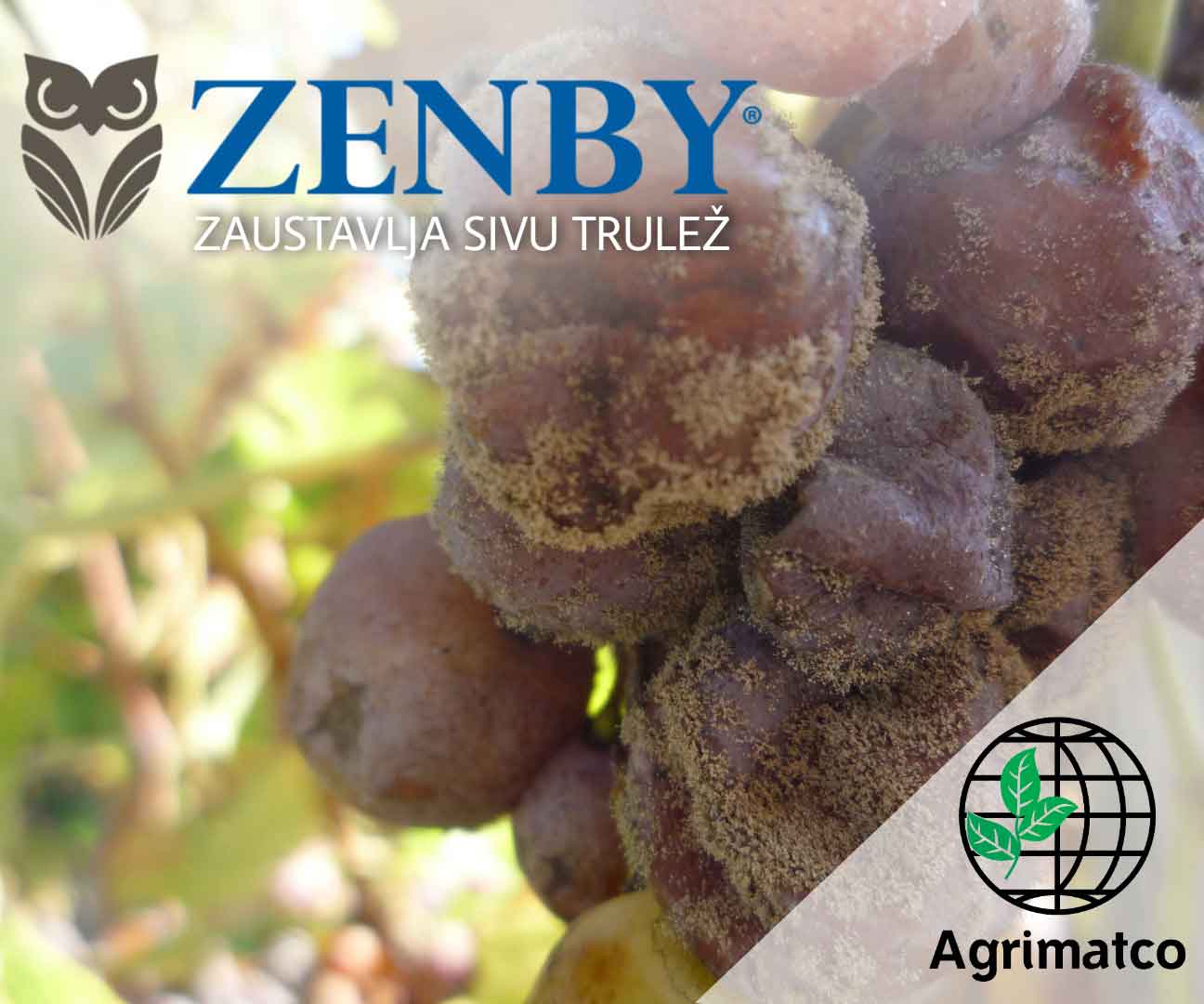 zenby-agrimatco siva trulež grožđa