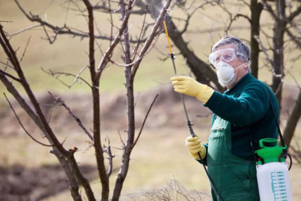 Zašto je jesenje prskanje BAKROM bitno za zdravlje VOĆAKA?