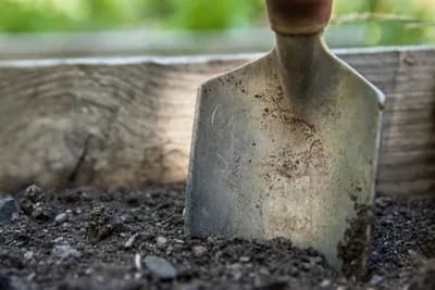 Dezinfekcija supstrata za dobar uspjeh