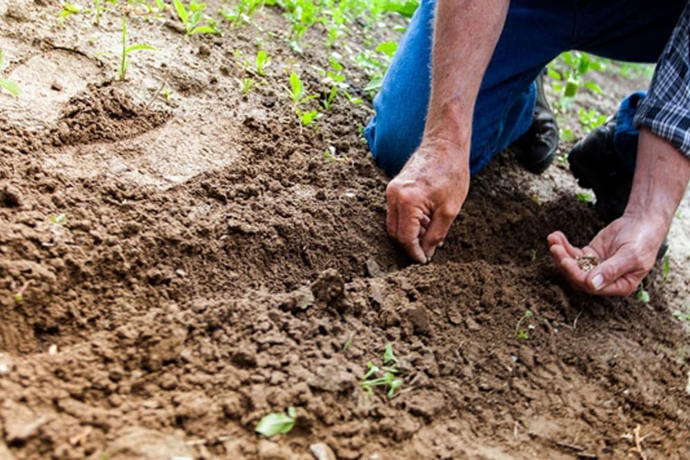 Pomoć poljoprivredi: Manje taksa, podrška proizvodnji hrane