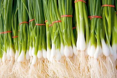 Mladi luk čuda čini – 3 nevjerovatne moći zelenog dijela