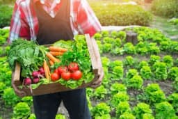 ORGANSKA ĐUBRIVA nejednako djeluju na različito povrće