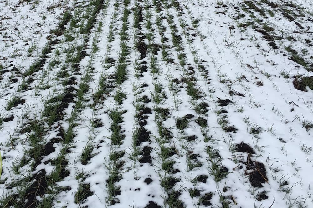 STIŽE SNIJEG U BiH - Nakon proljećnih temperatura, dolazi prava zima