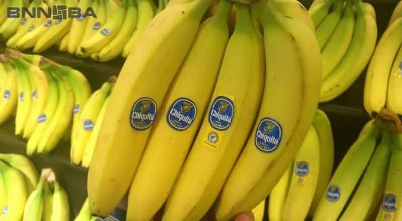 U BiH uvezeno skoro 95 hiljada tona citrusa i banana