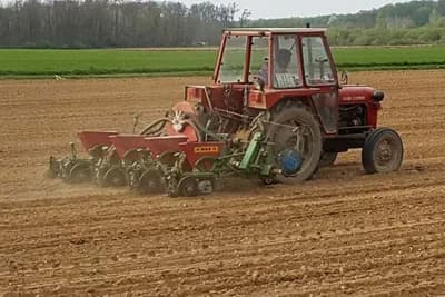 Teška jesen umanjila proljećnu sjetvu u RS - Manje žita, krompira, jagoda, duvana...