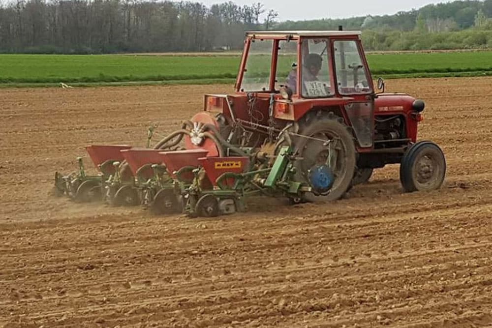 Podsticaji za poljoprivrednike po NOVIM PRAVILIMA: Najviše novca za povrtare, ratare i voćare