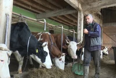 Bolje ratar kod kuće, nego vozač u Sloveniji