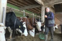 Bolje ratar kod kuće, nego vozač u Sloveniji