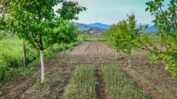 Redovi kupaca danju i noću, a evo i gdje