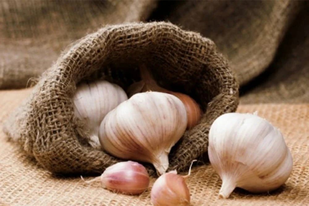 Bijeli luk skuplji od kile mesa