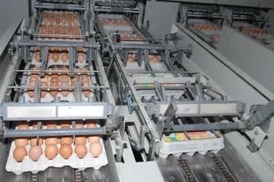 MILIĆI - Jaja sa "Boksitove" farme na tržištu Srbije i Crne Gore