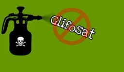 Glifosat (TOTAL) – Evropski sud presudio pobjedu u borbi za zdravlje