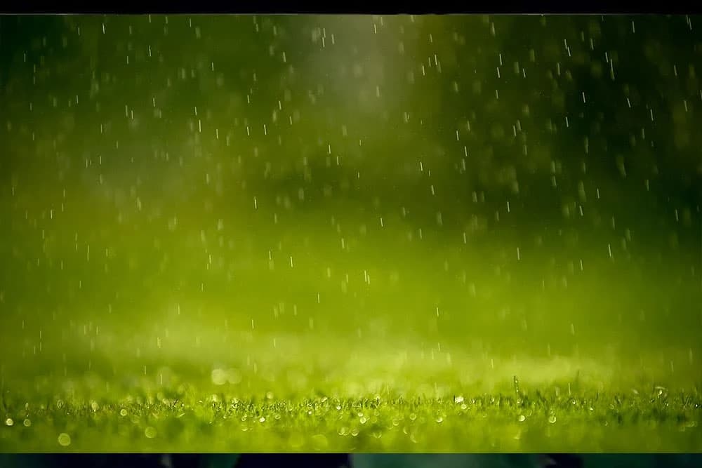 Ratari priželjkuju još kiše