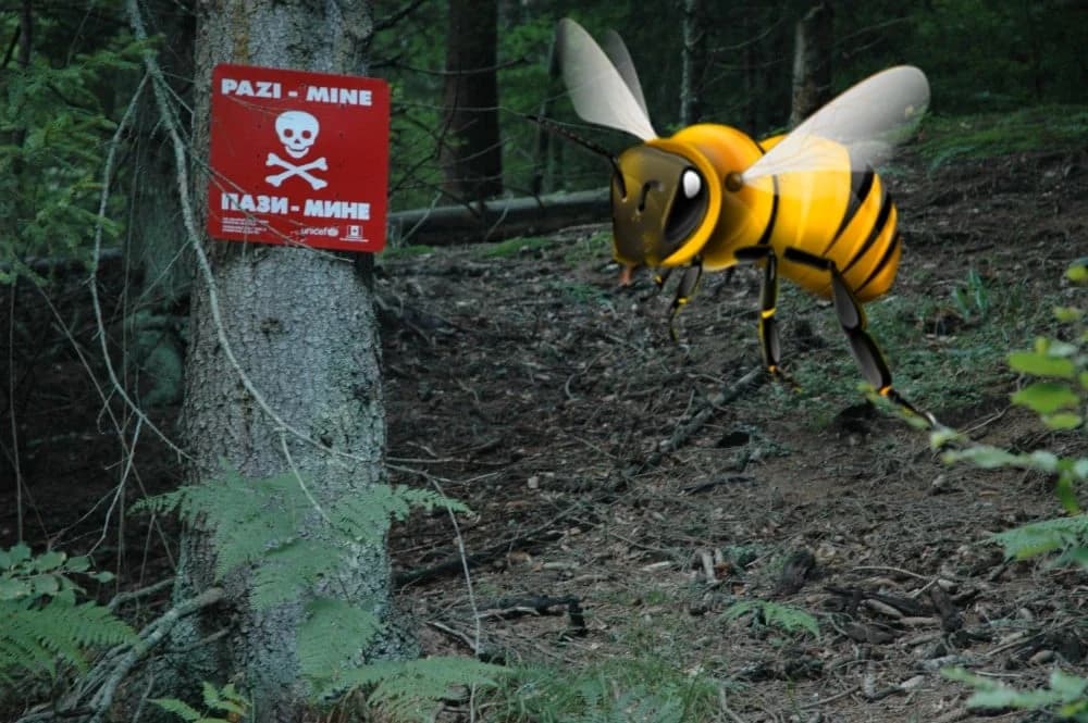 Pčele dresirane za otkrivanje eksploziva - PRONAŠLE MINE U HRVATSKOJ!