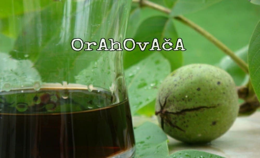 Evo kako se pravi orahovača: Starinski lijek za štitnu žlijezdu i ubrzavanje matabolizma