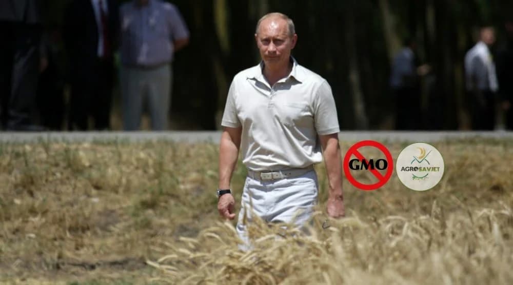 Putin - GMO čini muškarce neplodnima