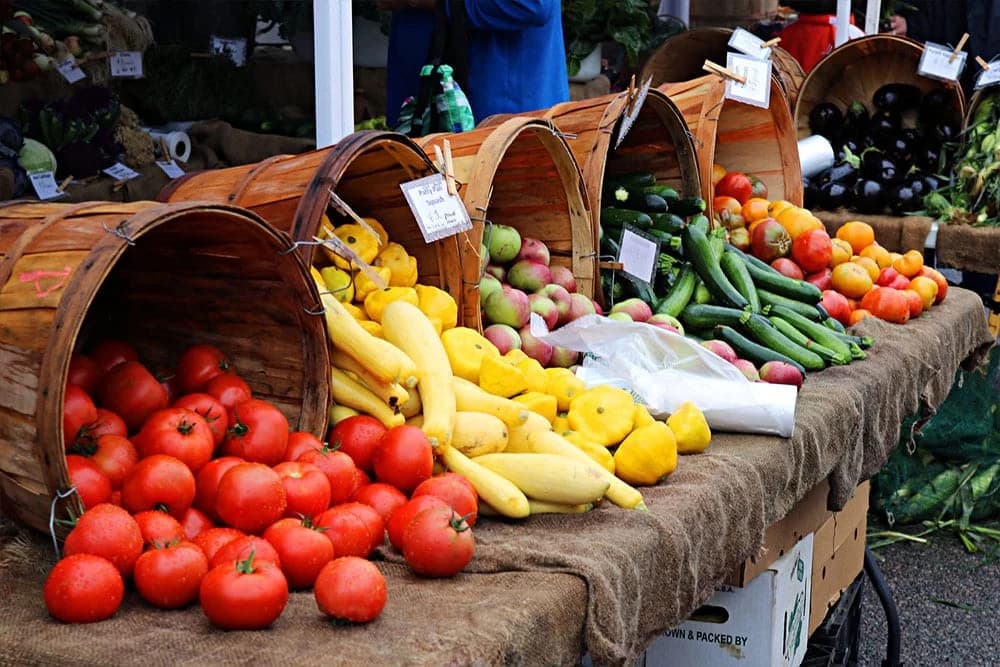 BiH će uskoro moći izvoziti hranu na kinesko tržište