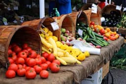 BiH će uskoro moći izvoziti hranu na kinesko tržište