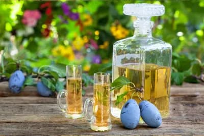 Zdravstvene tegobe kod kojih rakija može da posluži kao lijek