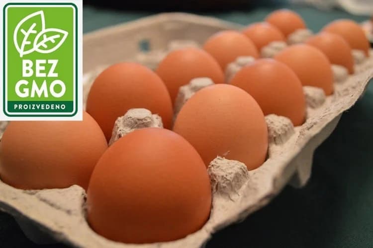 Bez GMO, a naše