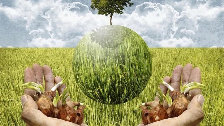 BIODINAMIČKA poljoprivreda zaživjela i kod nas!