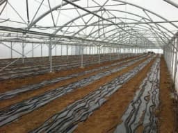 Uložio 220.000 KM u sistem za grijanje plastenika ali ispaltilo mu se