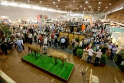 N.Sad: Na najprestižnijoj smotri agrara 600 semberskih poljoprivrednika