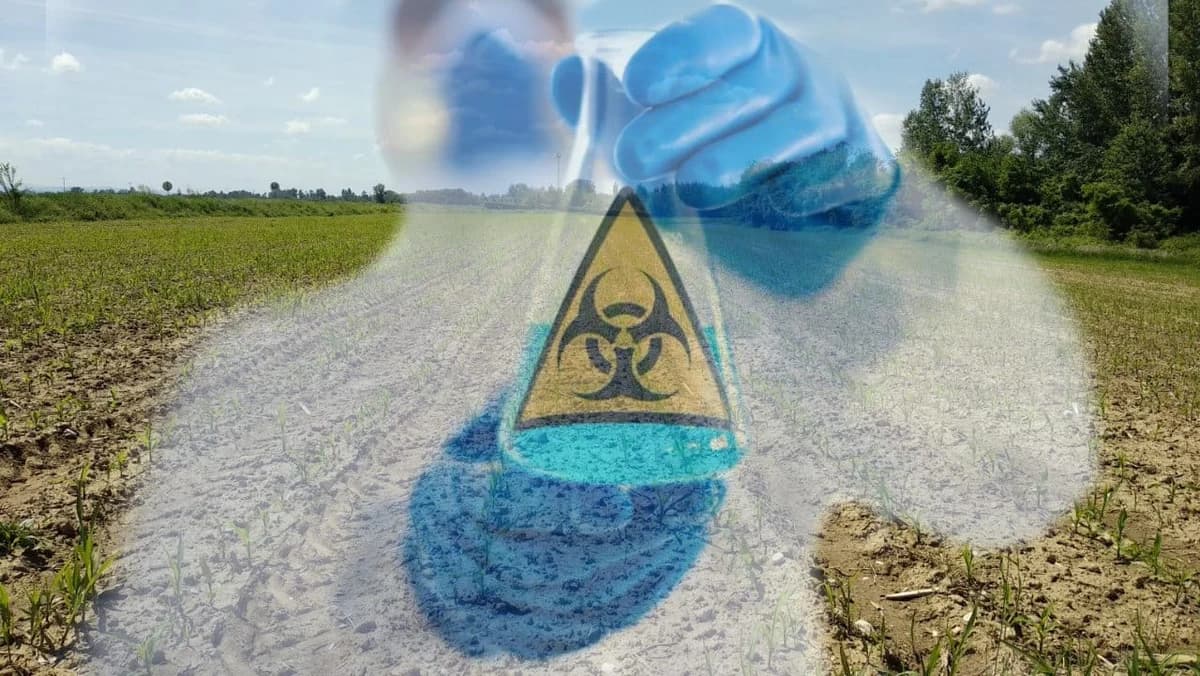 Otrov u njivama, rak na tanjiru