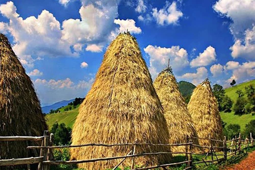 Procjena kvaliteta sijena