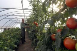 U radionici “Banjalučke gradske bašte” na redu izrada komposta