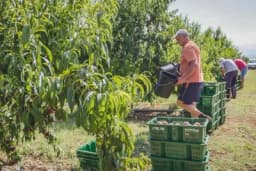 U Podgorici potrebno 700 radnika, dnevnica 35 evra