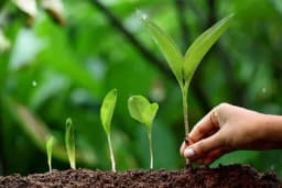 Gajenje biljaka bez hemije - BIODINAMIČKI KALENDAR ZA JUL