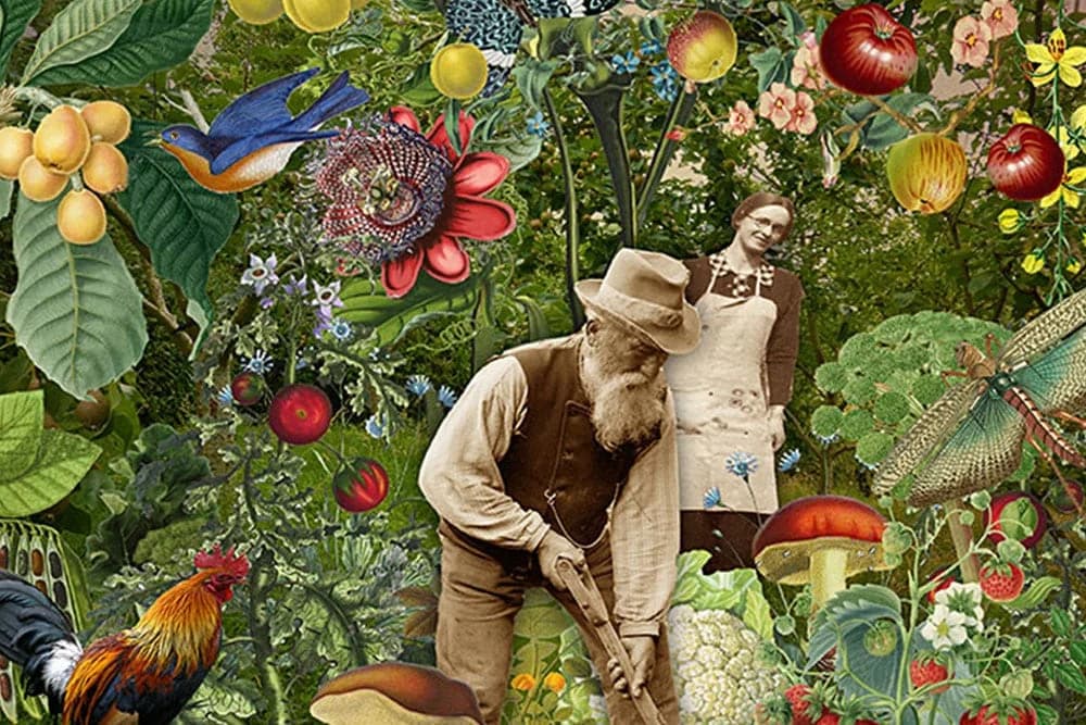 SAD: Planira se izgradnja najveće šume sa besplatnom hranom u svijetu