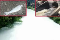 I godinu dana nakon katastrofe dio Spreče mrtva zona