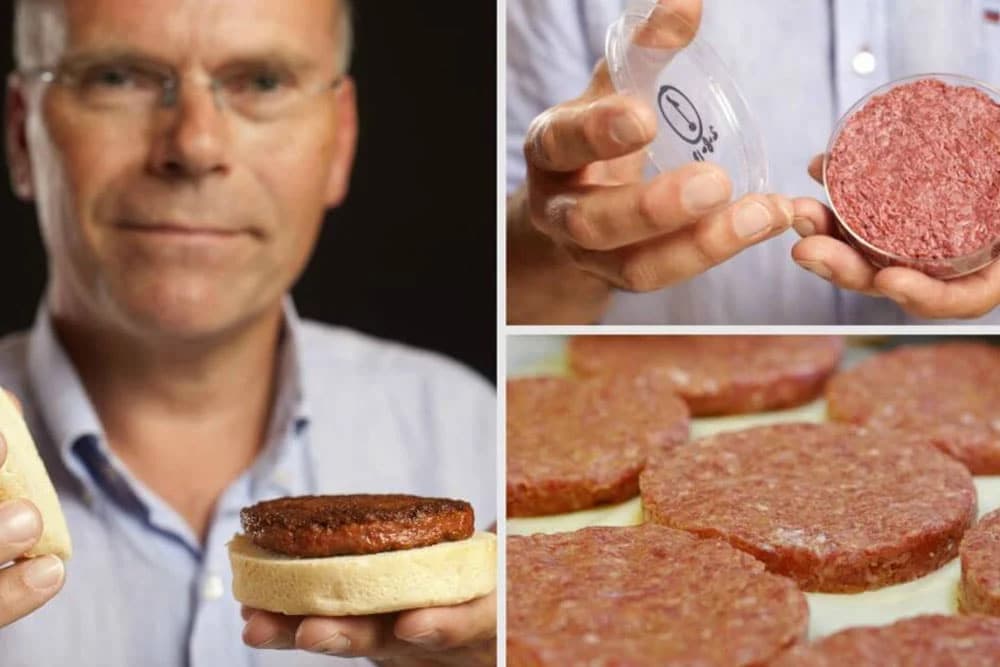 Meso bez klanja - uzgojeno u laboratoriji