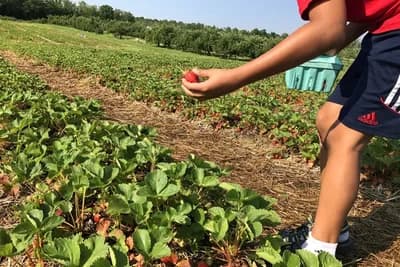 Obavijest novim poljoprivrednicima