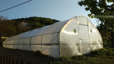 Pripremite vaše plastenike na vrijeme