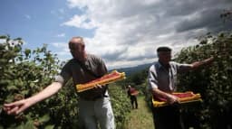 Nema radnika ni za dnevnicu od 40 KM