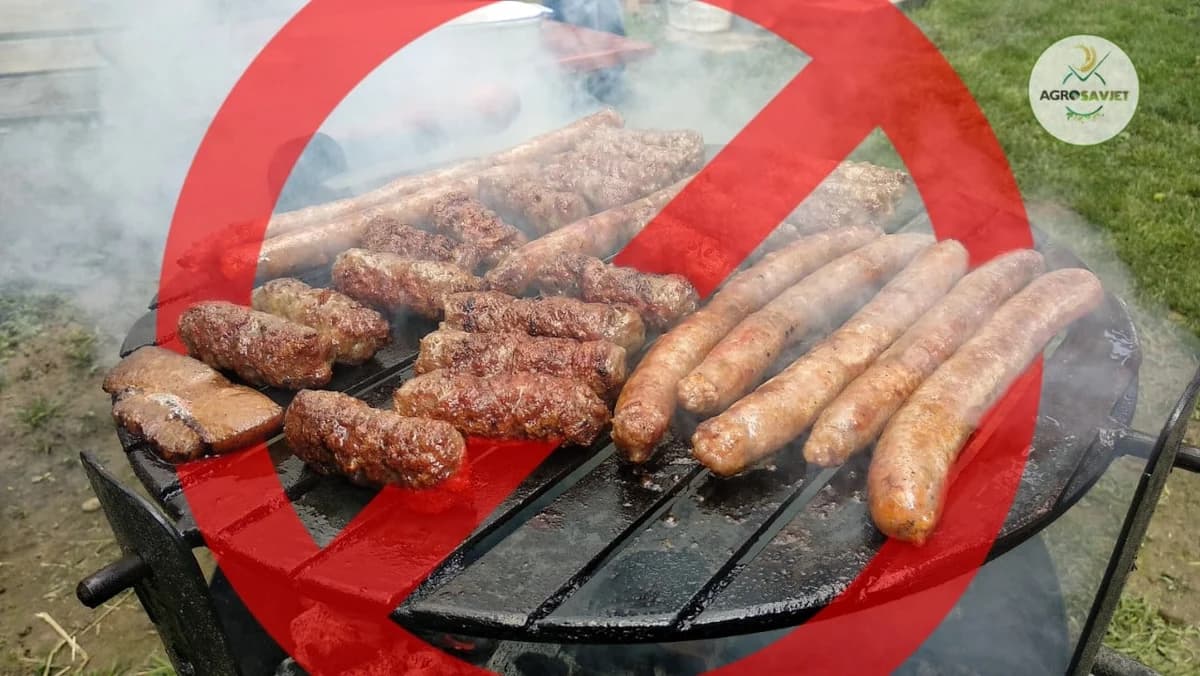 Komšije pred zabranom roštilja na ugalj!