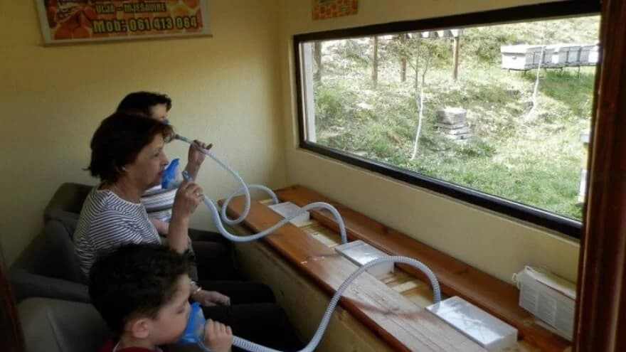 Prva Api komora u Tuzli: Liječenje mnogih bolesti pomoću udisanja zraka iz košnica