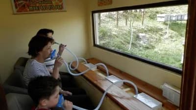 Prva Api komora u Tuzli: Liječenje mnogih bolesti pomoću udisanja zraka iz košnica