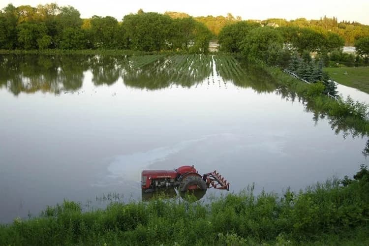 Uporna kiša ugrozila sav rod