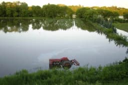 Uporna kiša ugrozila sav rod