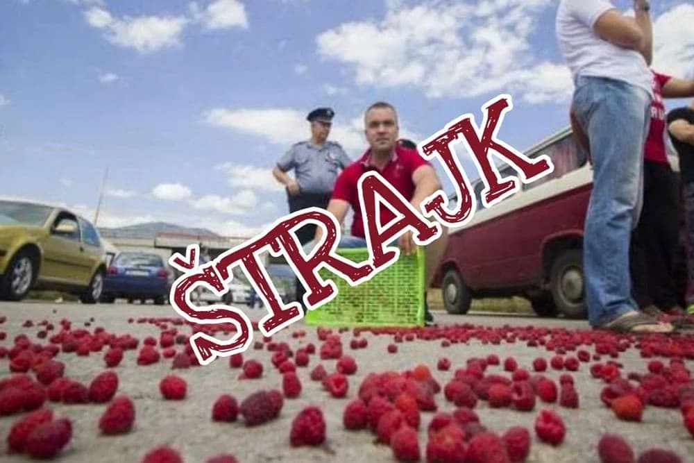 U Srbiji počinje štrajk glađu malinara - pojedini prijete odsijecanjem prstiju