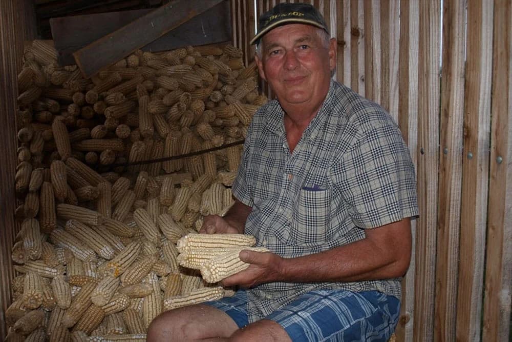 Kako je Josip Barišić doskočio klimatskim promjenama i unaprijedio poljoprivrednu proizvodnju