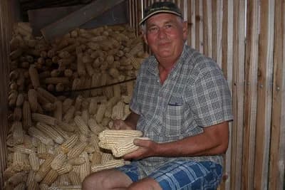 Kako je Josip Barišić doskočio klimatskim promjenama i unaprijedio poljoprivrednu proizvodnju