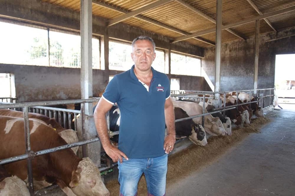 Muris Grgić ne zna šta će sa punom farmom utovljene junadi