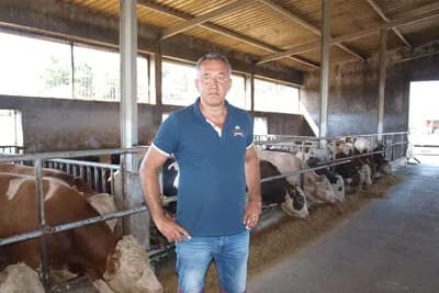 Muris Grgić ne zna šta će sa punom farmom utovljene junadi