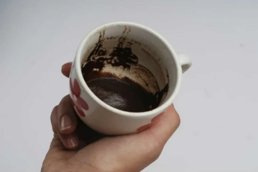 Toz od kafe koristan u bašti - 5 načina da ga upotrijebite