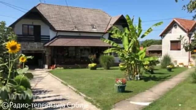 Banane i kivi rastu u Čačku